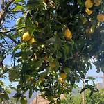 Casa Piedra Miranda. 펜션 빌라보아