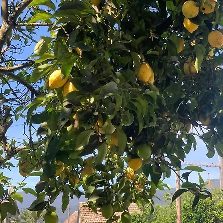 Casa Piedra Miranda 펜션 빌라보아