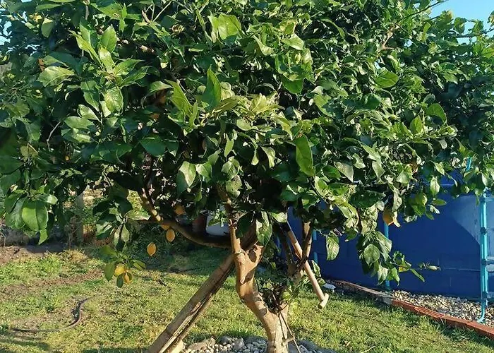 Casa Piedra Miranda 度假居 维拉波